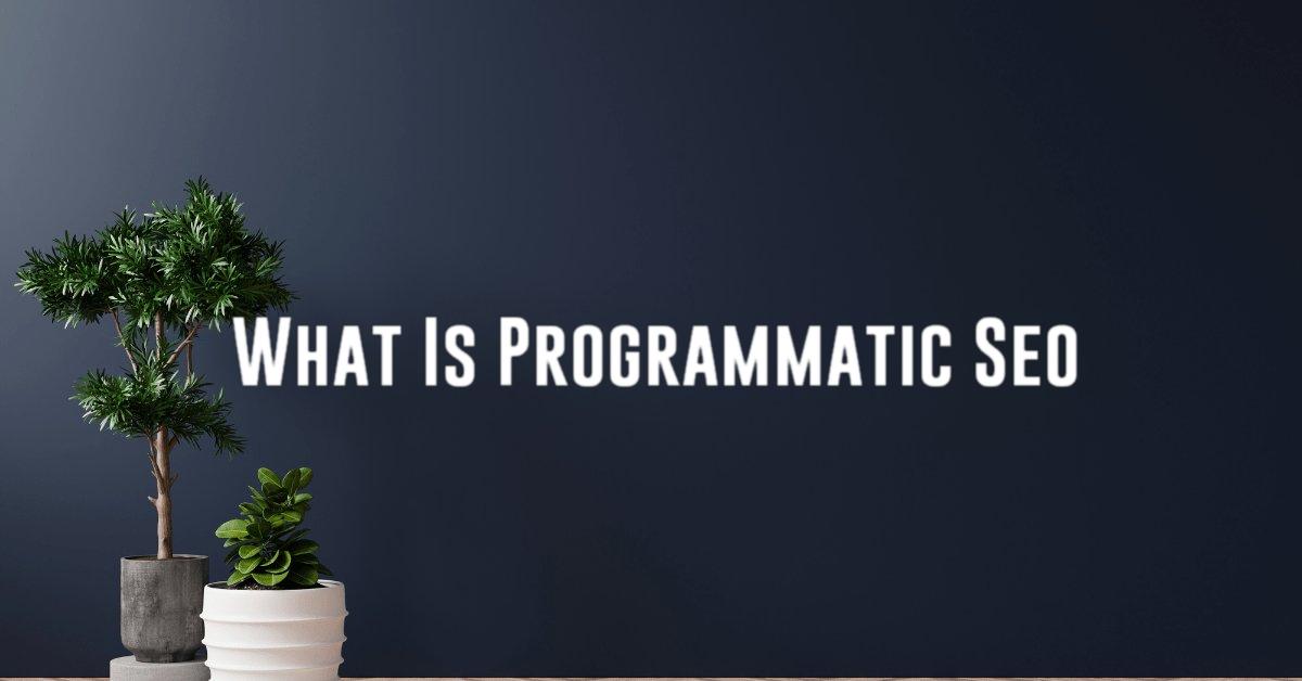 What Is Programmatic Seo